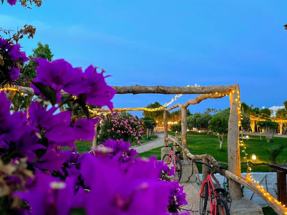Eco Beach And Magic Garden Hotel Gennadi Extérieur photo